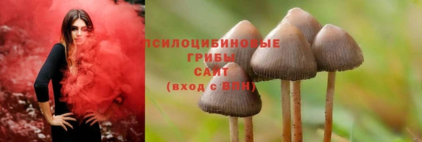 МДПВ Богданович