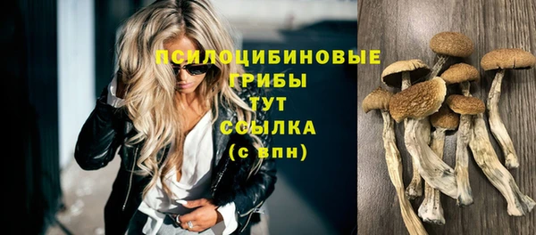 кристаллы Богородицк