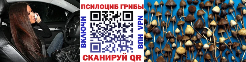 блэк спрут ССЫЛКА  закладки  Светогорск  Галлюциногенные грибы Magic Shrooms 